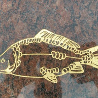 Motiv zlato Ryba - Kamenictví Pavel Tošnar